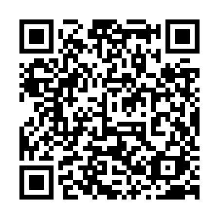 QR code for 229 ZZI