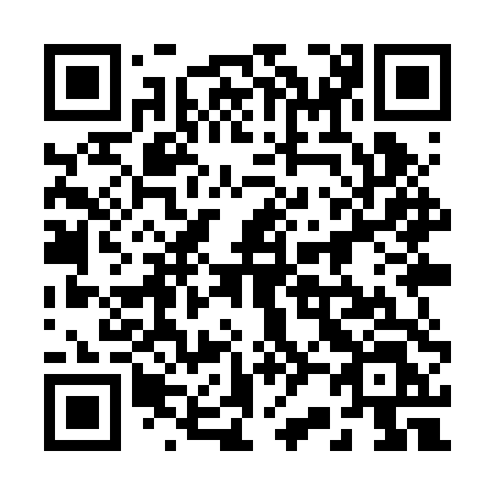 QR code for plate 229 RTL