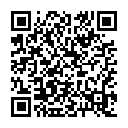QR code for 229TDK