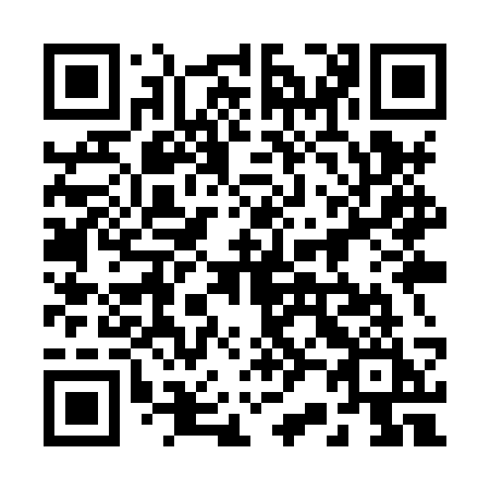 QR code for plate 229 XSI