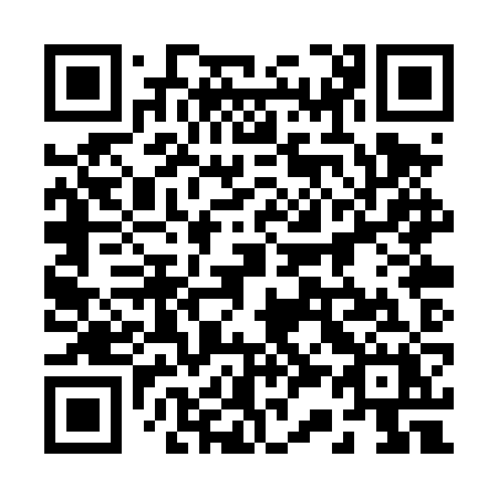 QR code for plate 230 TZX