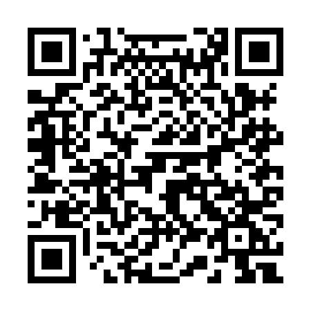 QR code for plate 232 HNG
