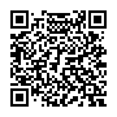 QR code for 233 VGC