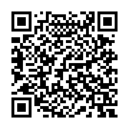 QR code for 233DNS