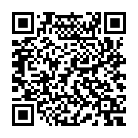 QR code for 234 IST