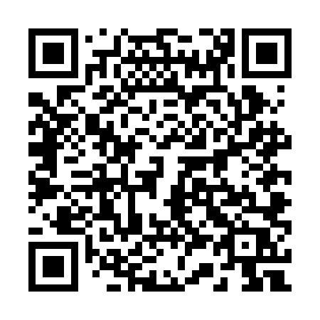 QR code for plate 234 BLP