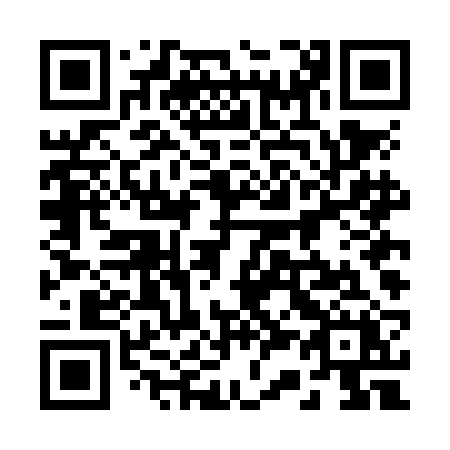 QR code for plate 234 NBX