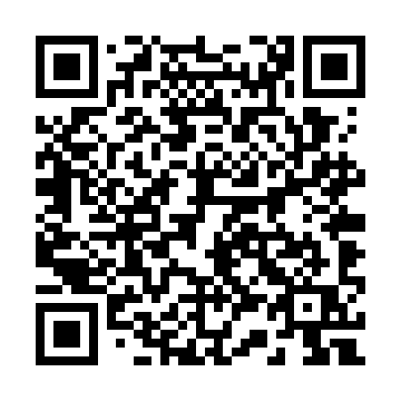 QR code for plate 234 WIQ