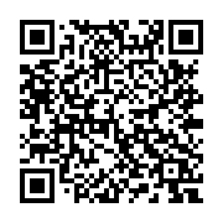 QR code for plate 241 XTR