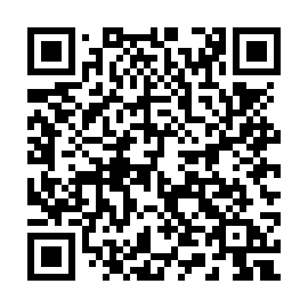 QR code for 245 NSA