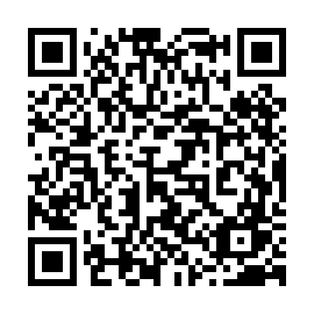 QR code for plate 245 PFW