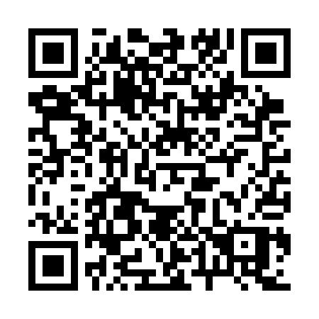 QR code for 246 SAP