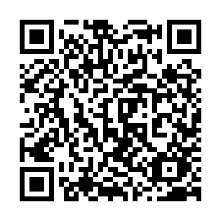 QR code for 2461PO