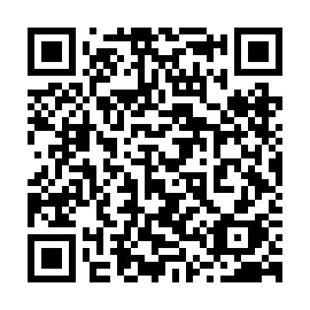 QR code for plate 246 BCH