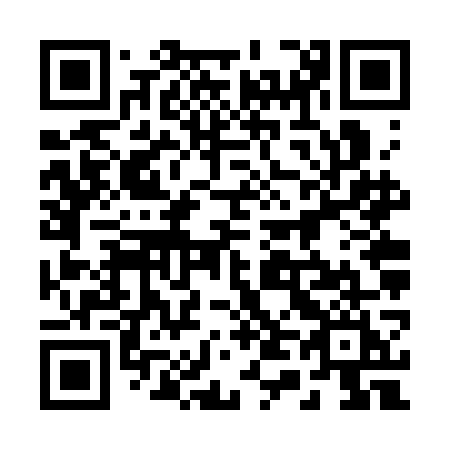 QR code for 246SGI
