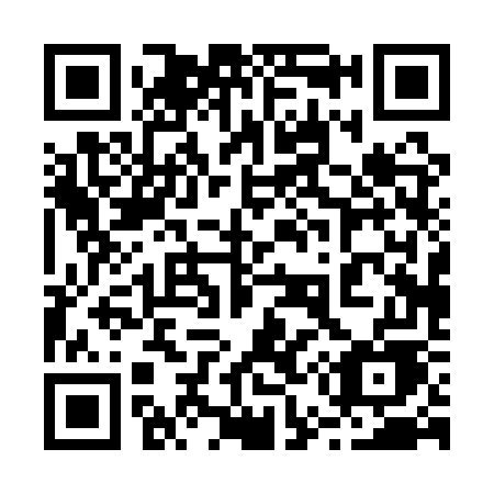 QR code for plate 250 1WE