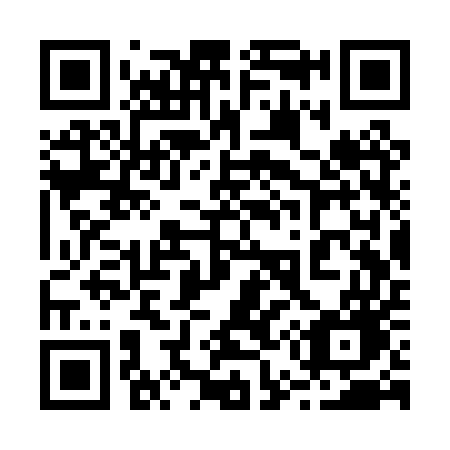 QR code for 253PUG