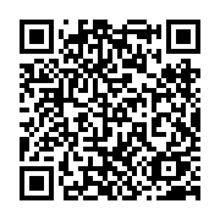 QR code for 272 RAU