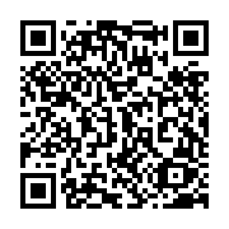 QR code for plate 272 JFZ