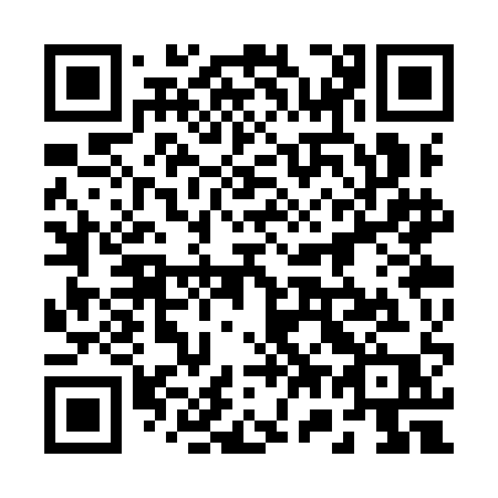 QR code for 273 YAP