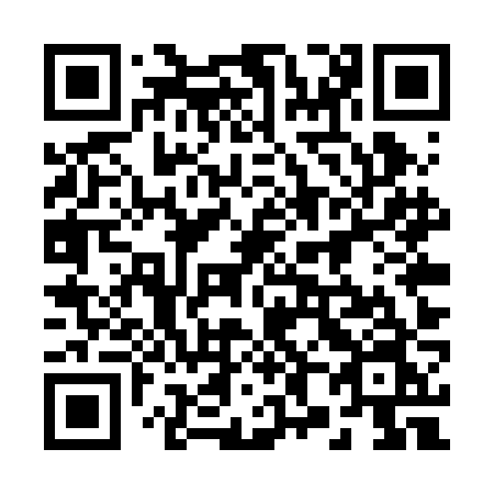 QR code for plate 285 RJN