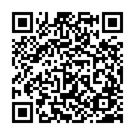 QR code for 289 INR