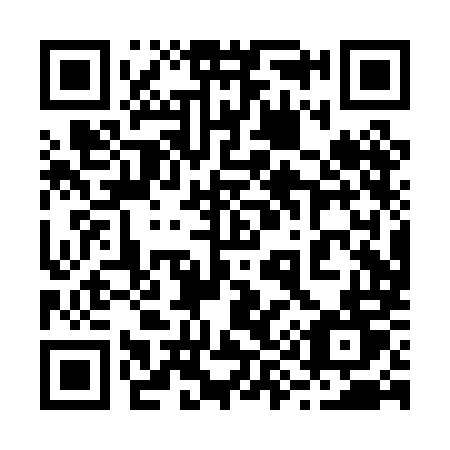 QR code for 290 PMT
