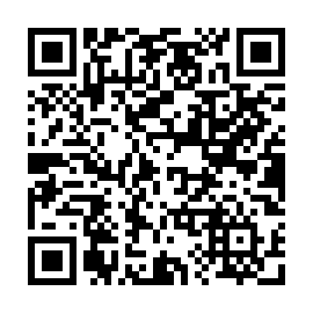 QR code for 290 ROV