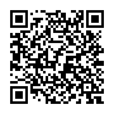 QR code for 290 ZUI
