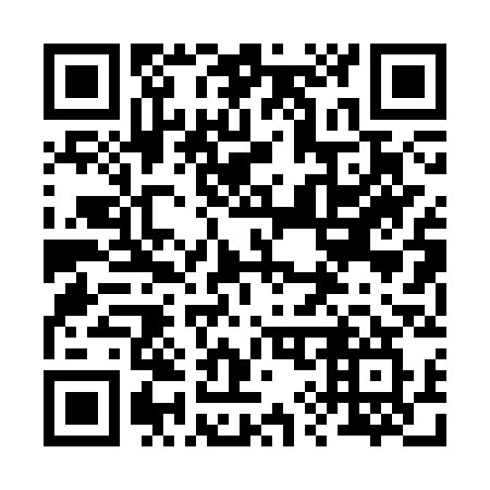 QR code for plate 290 3SW