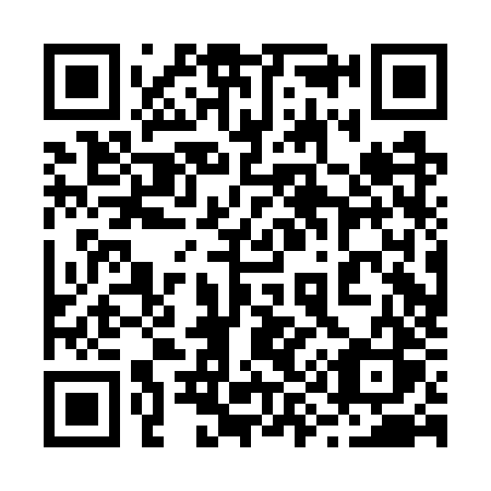 QR code for 290GZS
