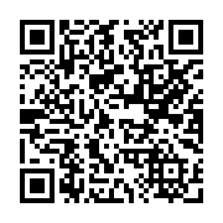 QR code for plate 290 HID