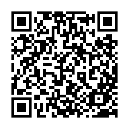 QR code for plate 290 WMN
