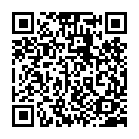 QR code for 291 DDX