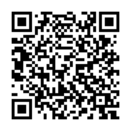 QR code for 291 FFQ