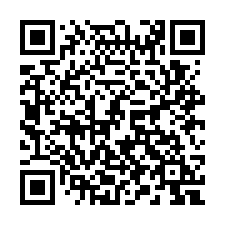 QR code for 291 GSI
