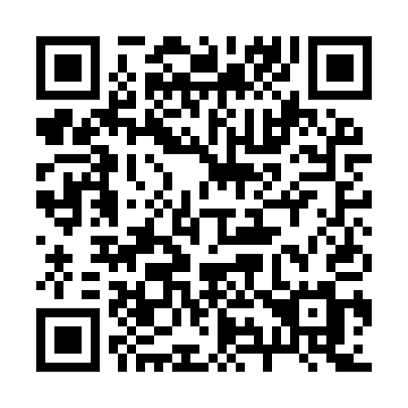 QR code for 291 IQM
