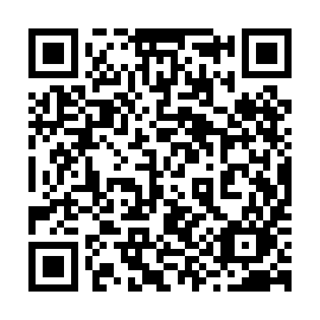 QR code for 291 PIO