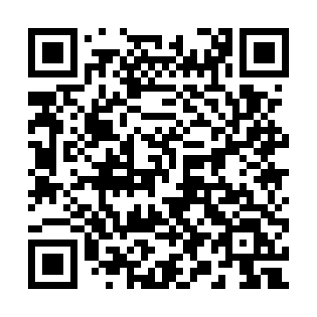 QR code for plate 291 5TL