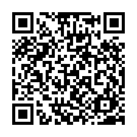 QR code for plate 291 HBL