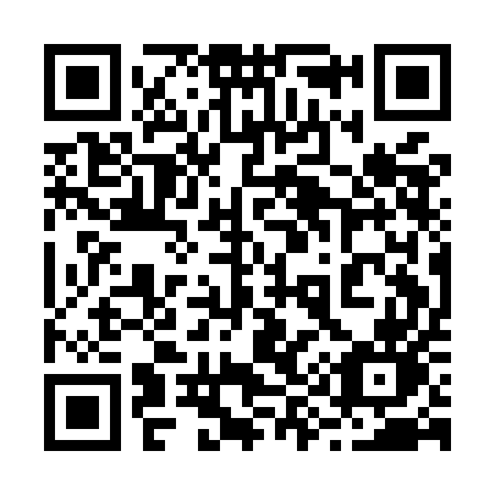 QR code for 291MEN