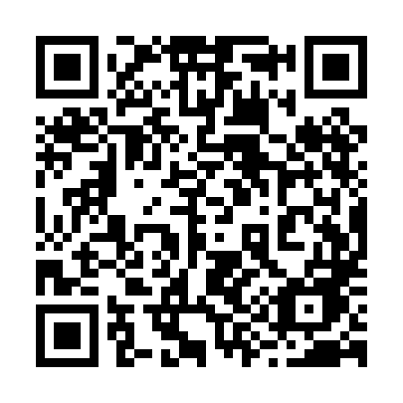 QR code for 291PLE