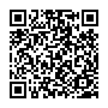 QR code for plate 291 TOT