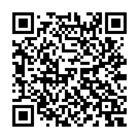 QR code for plate 291 WRS