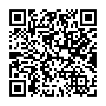 QR code for plate 291 YMQ