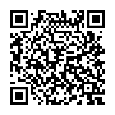 QR code for 293 1XR