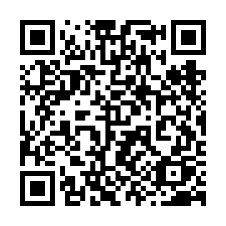 QR code for 293FGP