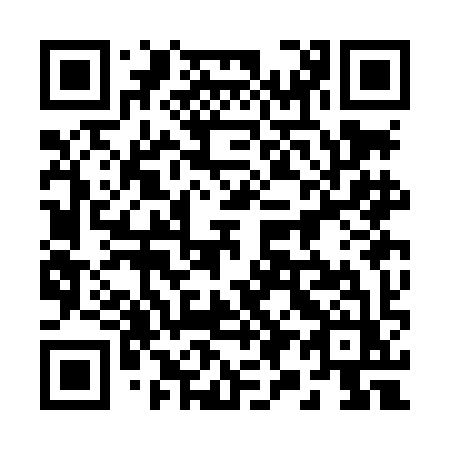 QR code for 293LIZ