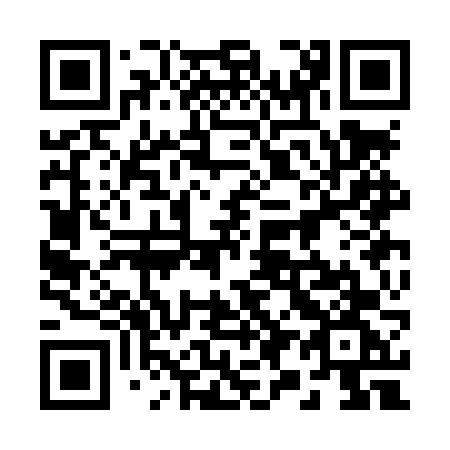 QR code for plate 293 LVG