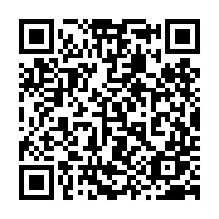 QR code for plate 293 TDP